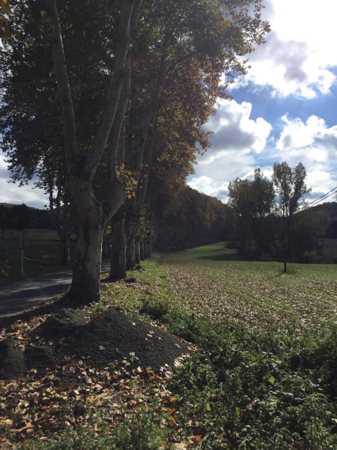 Escloper B&B Sant Julia de Vilatorta ภายนอก รูปภาพ