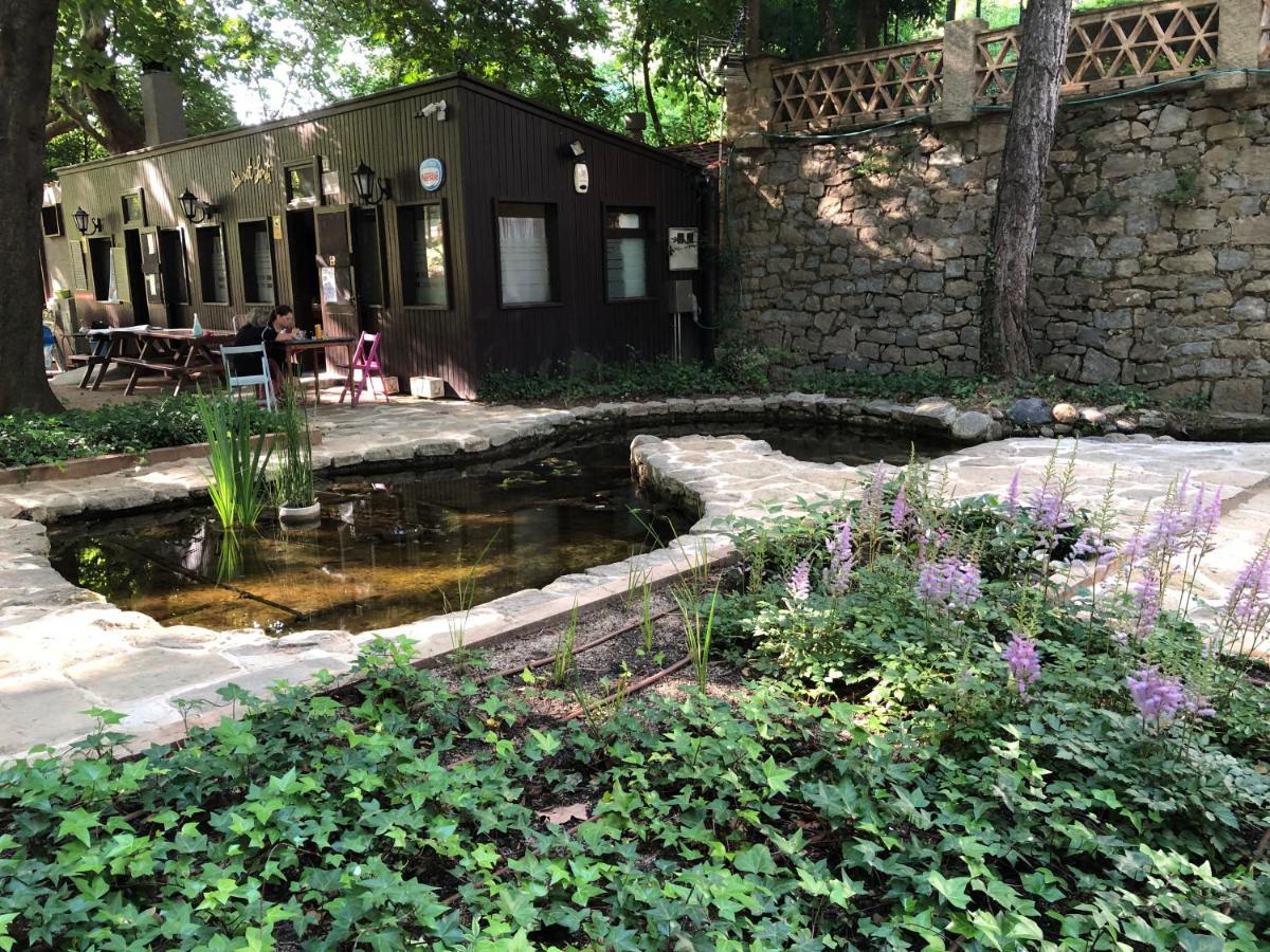 Escloper B&B Sant Julia de Vilatorta ภายนอก รูปภาพ